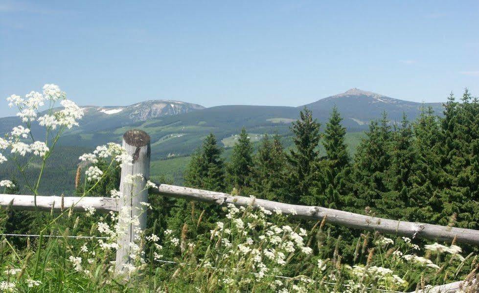 Pension & Restaurace Zeleny Mlyn Žacléř Екстериор снимка